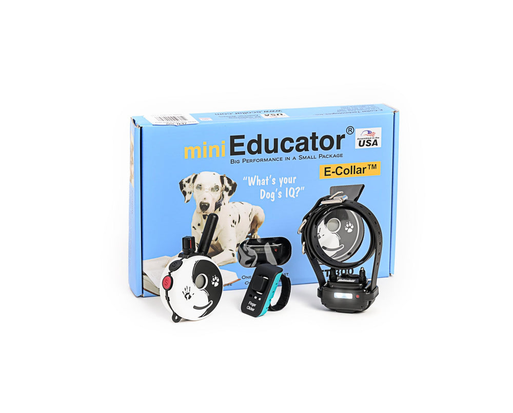 Mini Educator ZEN-300 remote transmitter shown in compact form for discreet training at distance.