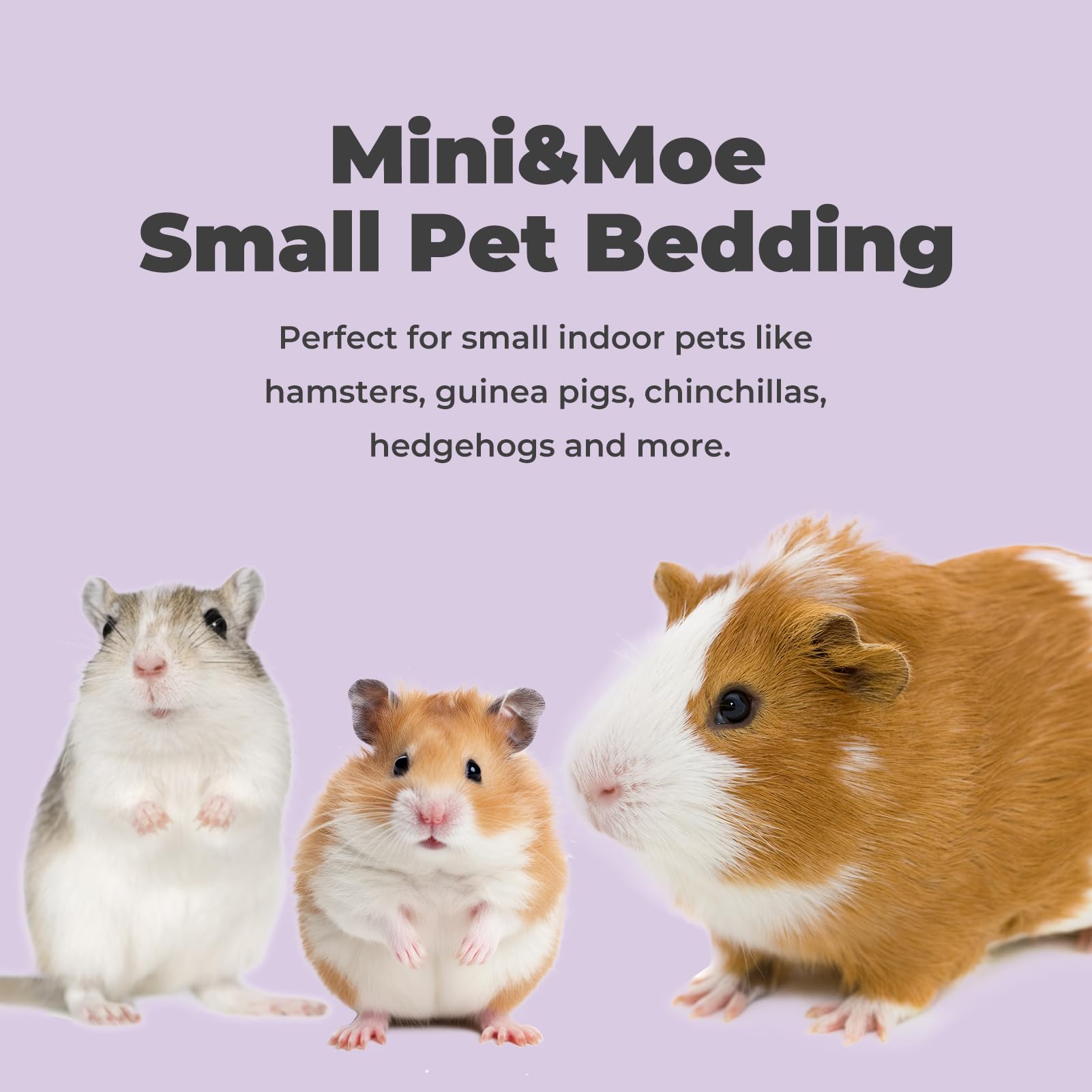 mini&moe indoor-pet bedding helps keep cages tidy and comfortable