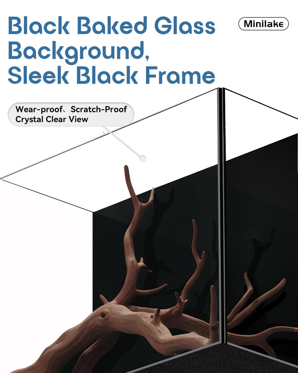 Minilake glass fish tank 5-gallon 5mm-frame detail emphasizes durability and clarity
