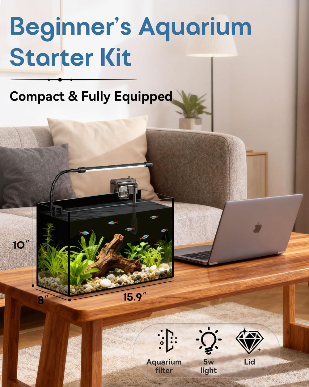 Minilake glass fish tank 5-gallon back view reveals depth from every angle
