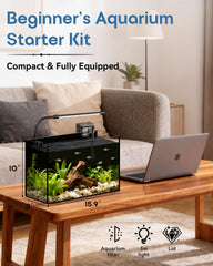 Minilake glass fish tank 5-gallon back view reveals depth from every angle