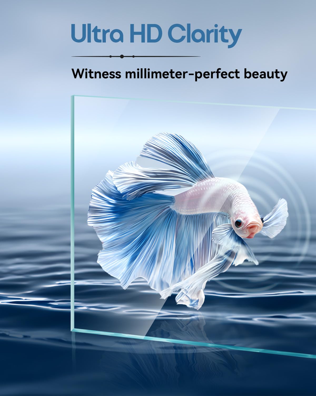 Minilake glass fish tank 5-gallon dual-lock lid keeps the top secure
