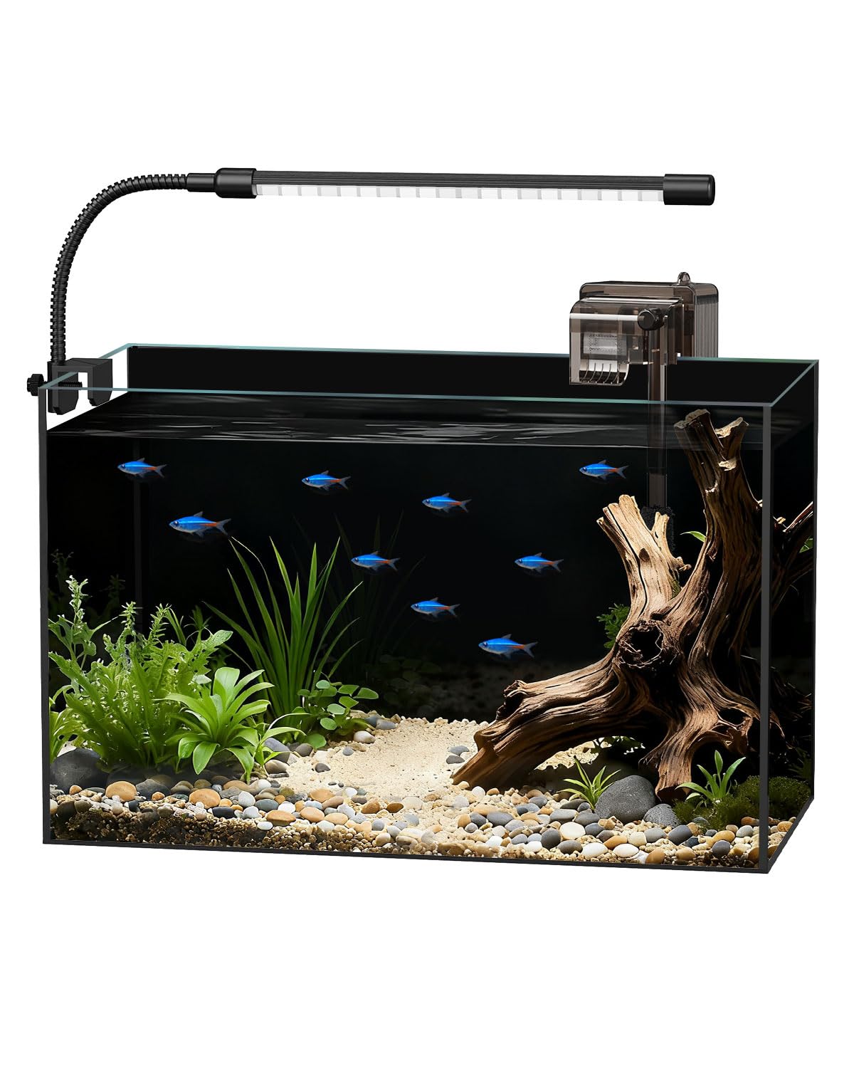 Minilake glass fish tank 5-gallon front view showcases a sleek, immersive desk setup