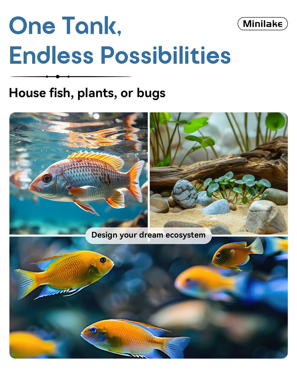 Minilake glass fish tank 5-gallon leveling-mat supports stable placement