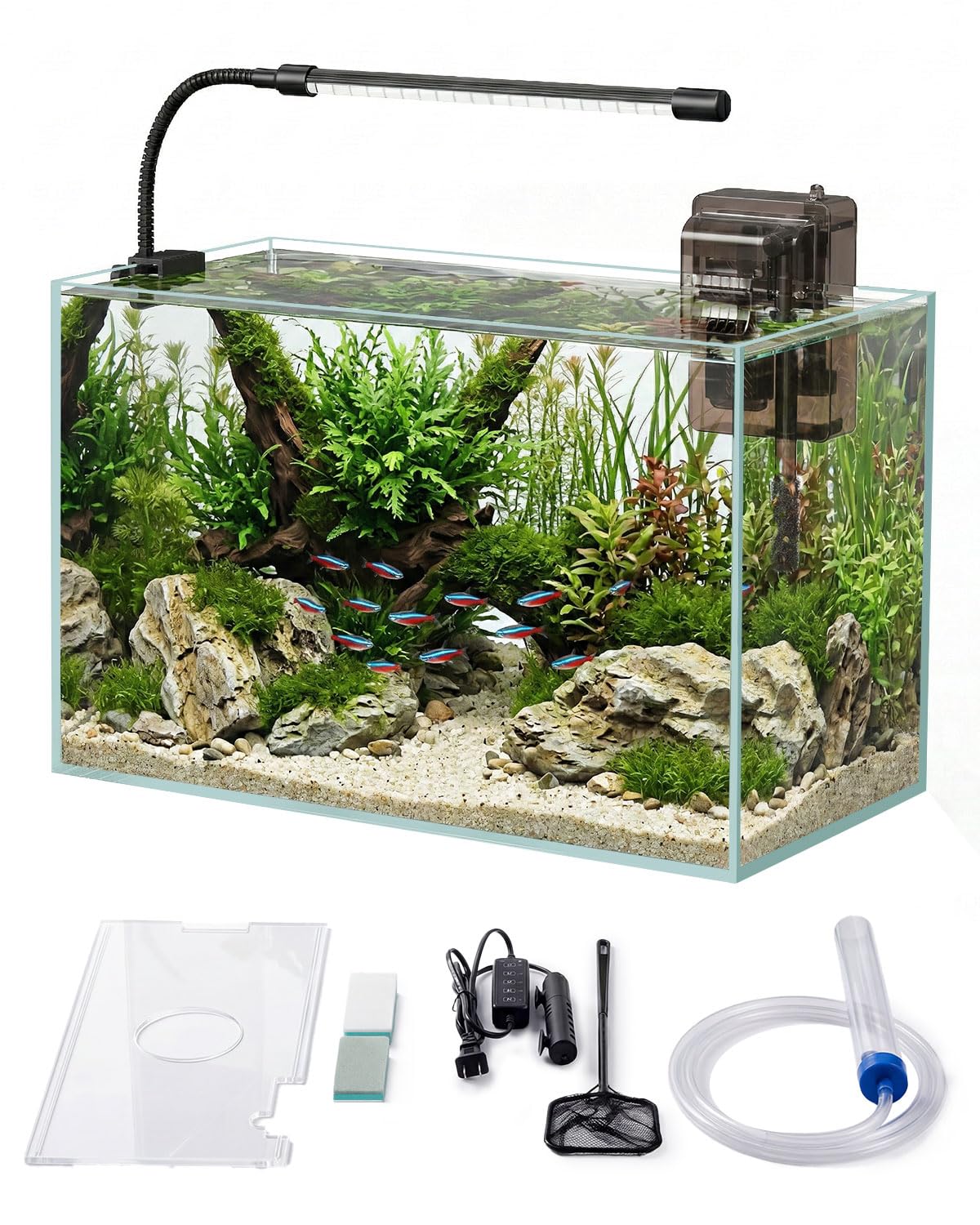 Minilake glass fish tank 5 gallon offers crystal-clear view for your aquascape.