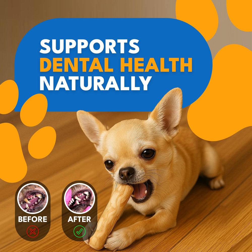 MINOWILD coffee wood chew stick is eco-friendly and natural.