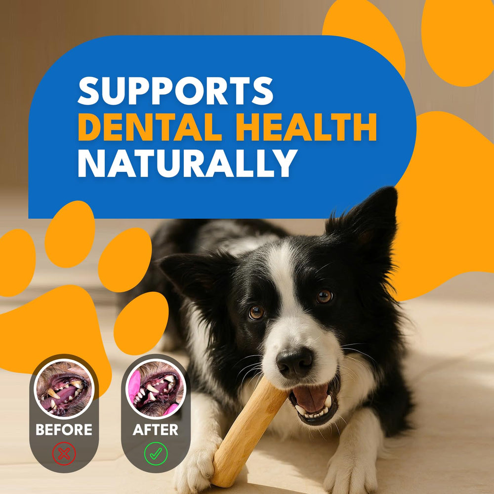 MINOWILD coffee wood chew stick safety reminder, soft fibers for safe chewing.