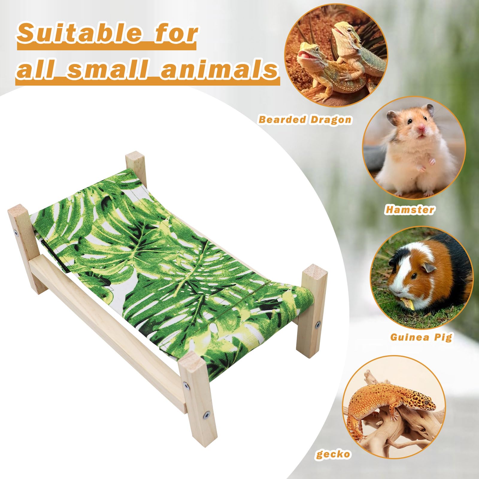 MinrzPet Bearded Dragon Bed habitat integration demonstrates versatile use with reptiles.