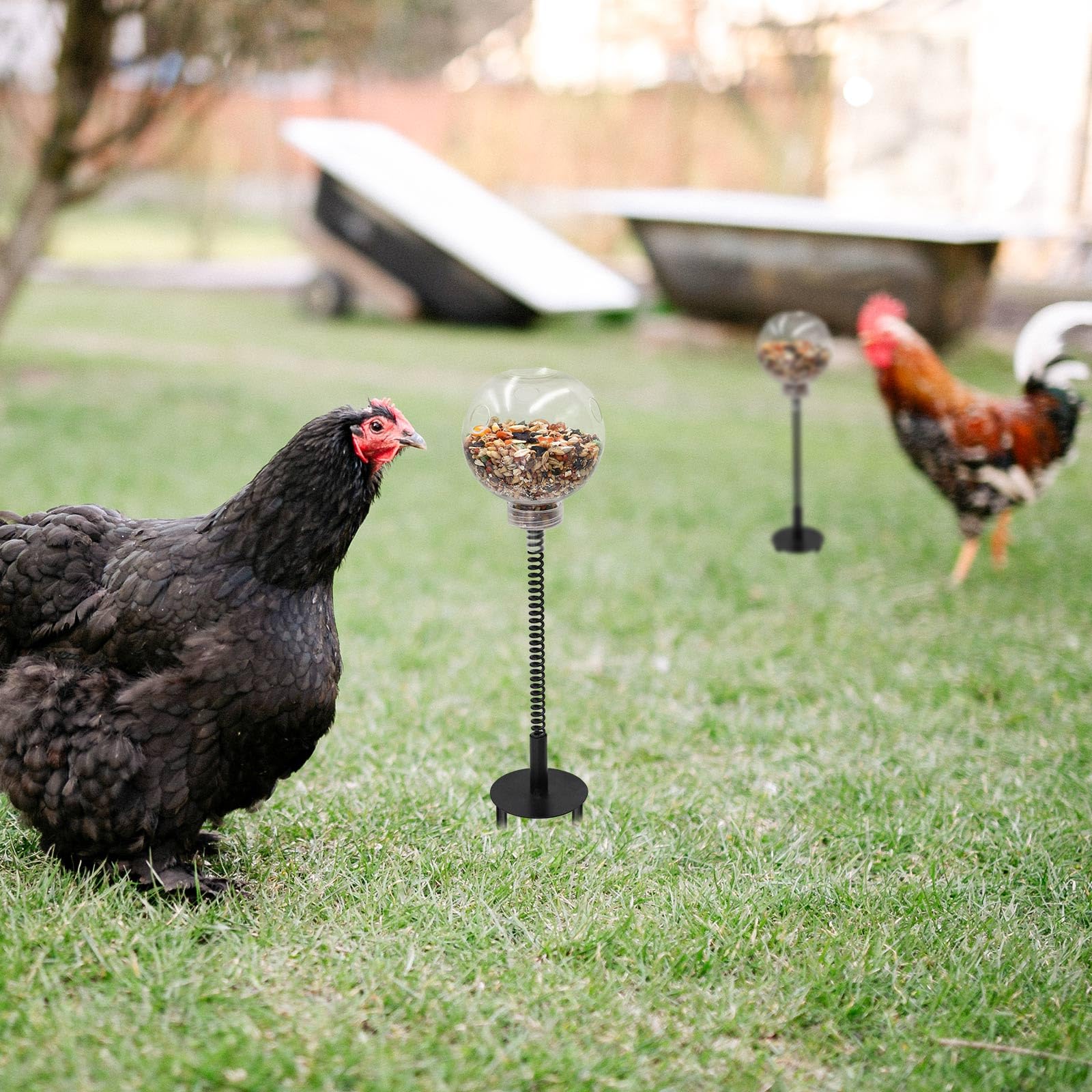MinrzPet enrichment treat-dispensing keeps poultry active and curious.