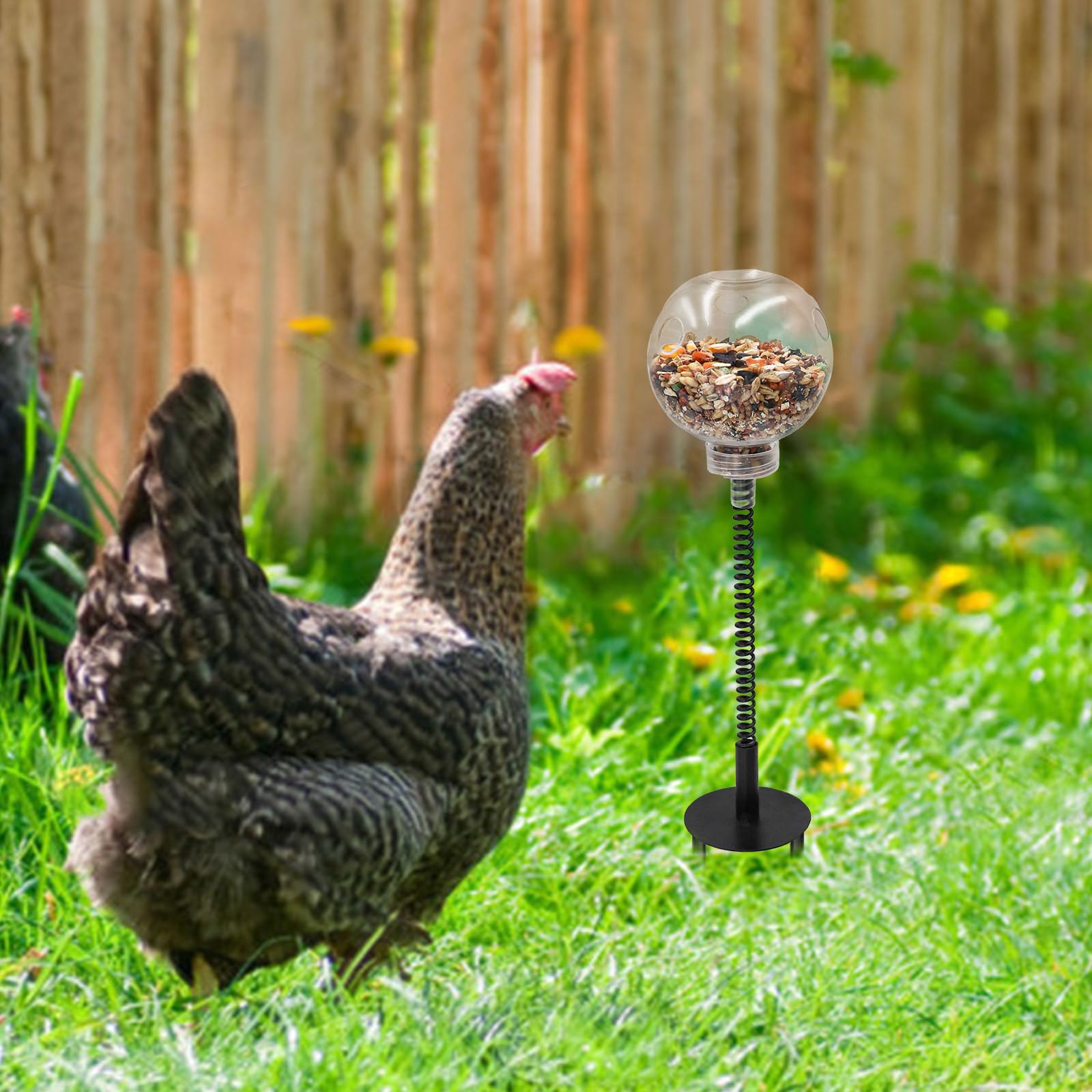 MinrzPet durable, non-toxic materials ensure safe play for poultry.