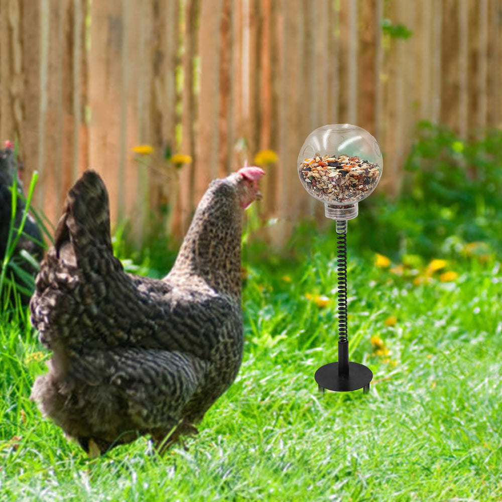 MinrzPet durable, non-toxic materials ensure safe play for poultry.