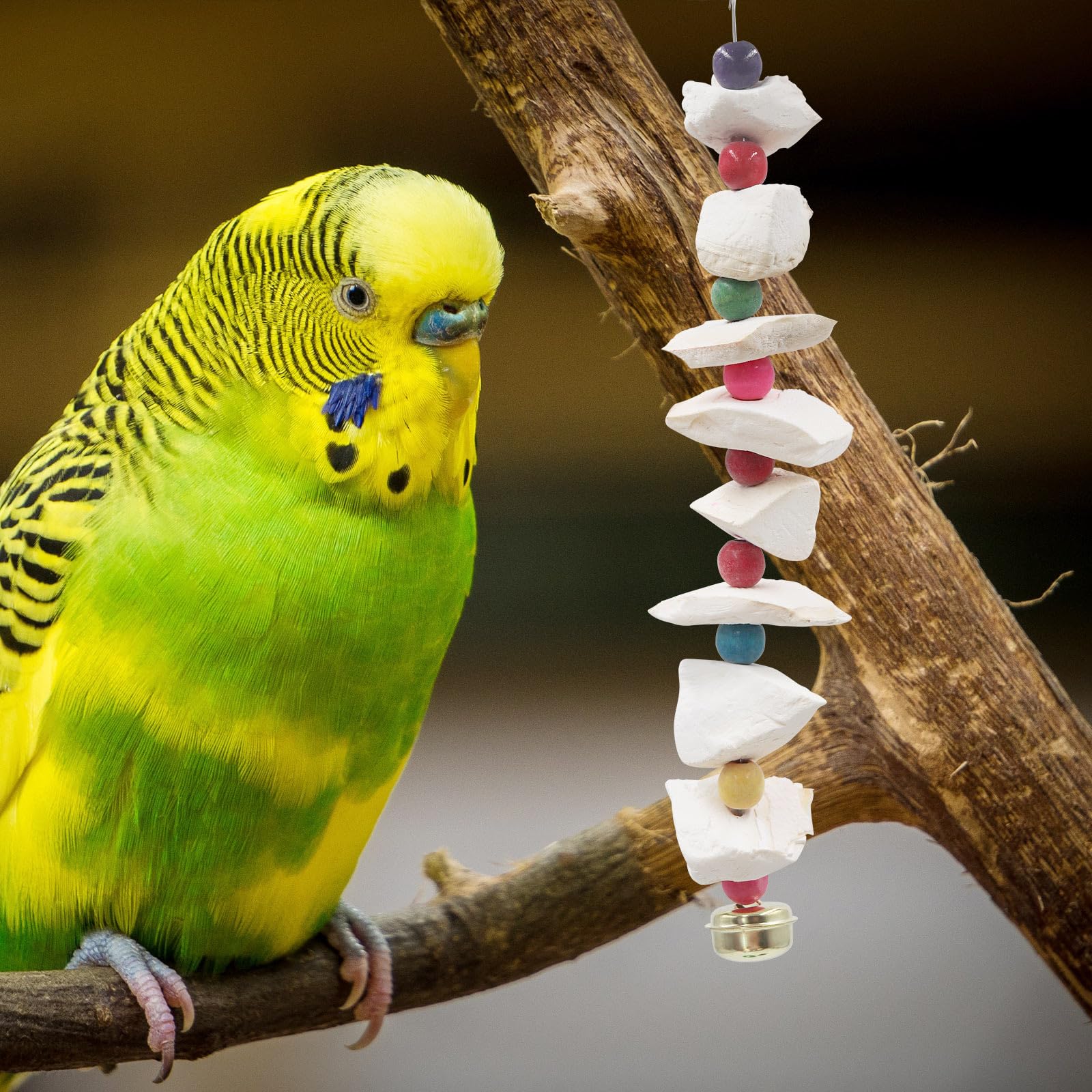 MinrzPet multi-bird toy set fits budgies, lovebirds, quakers for daily fun.