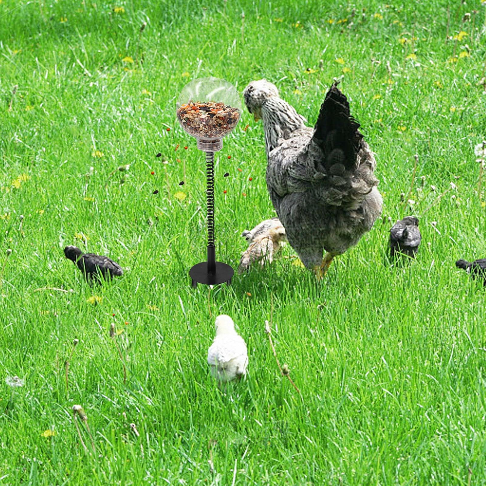 MinrzPet coop entertainment for geese, ducks, and turkeys.