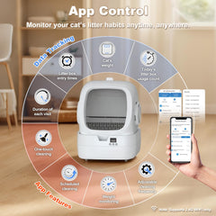 Mintakawa cat weight monitoring shows visits and trends