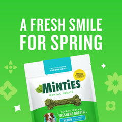 Minties breath-fresheners close-up highlight alfalfa, peppermint, parsley for fresher dog breath.