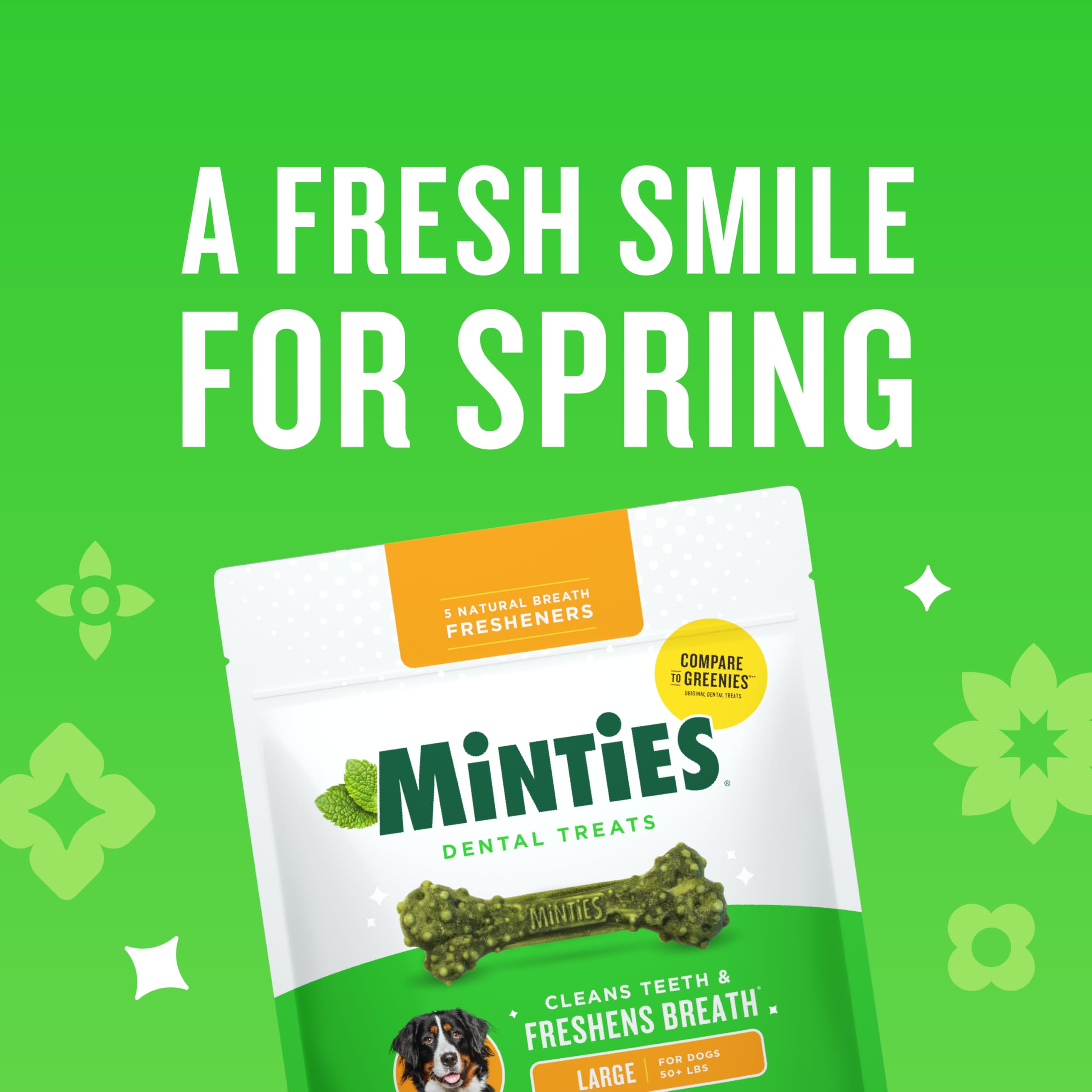 Minties chews with textured bone design cleans teeth as dogs chew