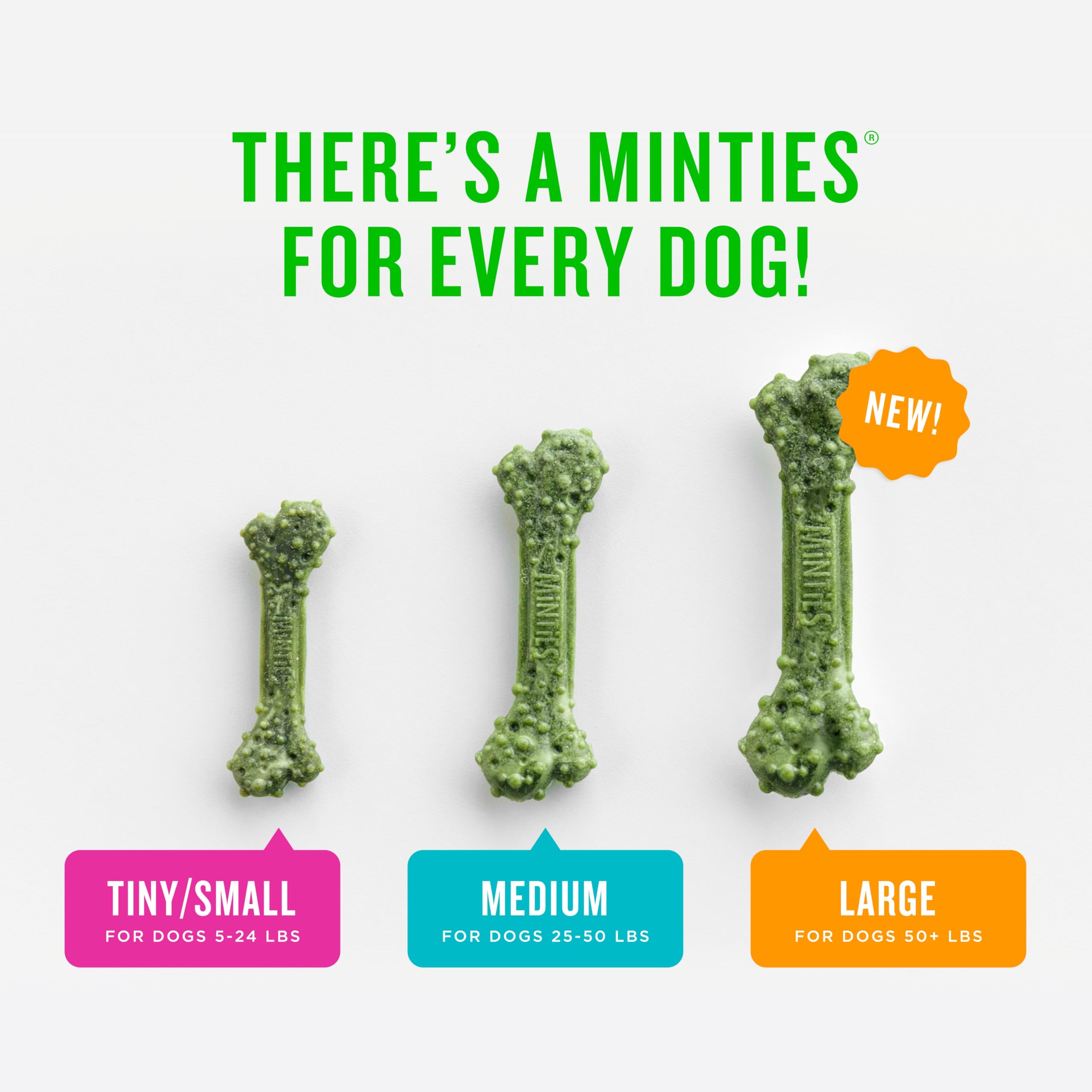 Vet-recommended Minties chews displayed as trusted canine dental care
