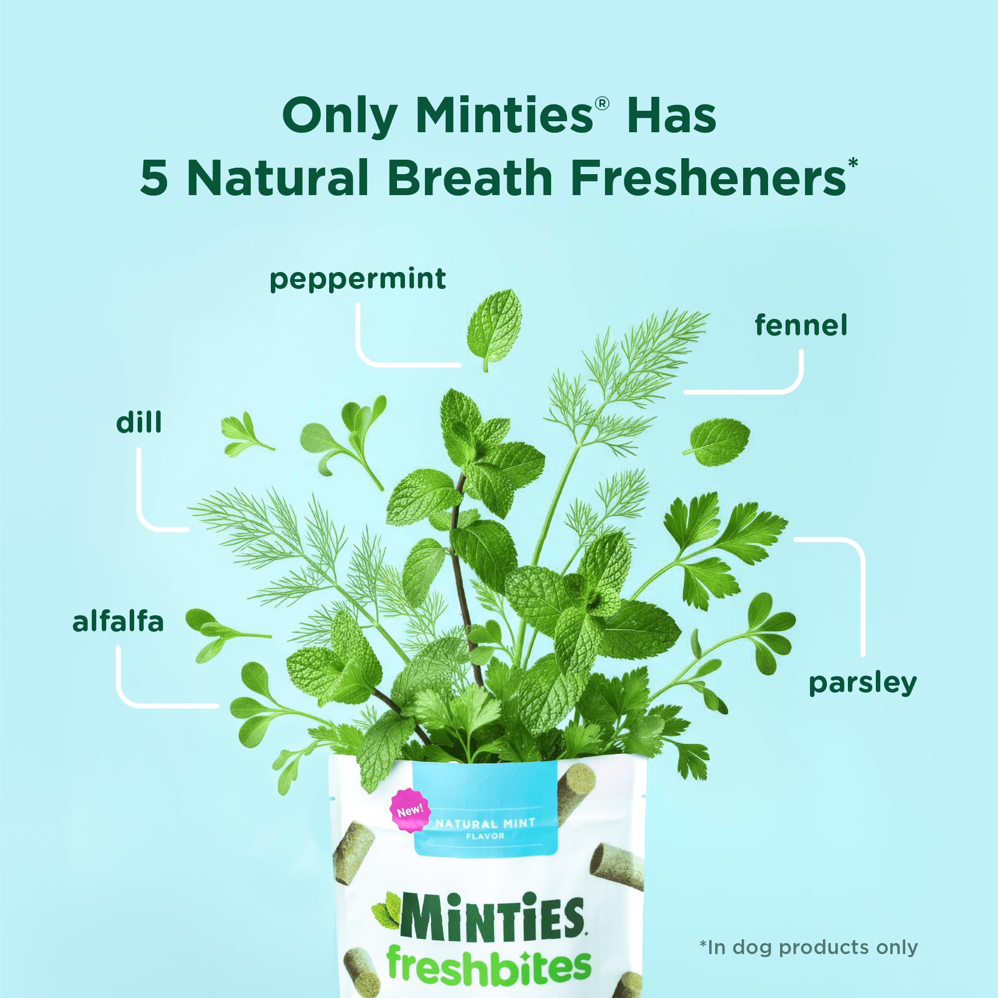 Close up of Minties FreshBites texture showing soft chew action