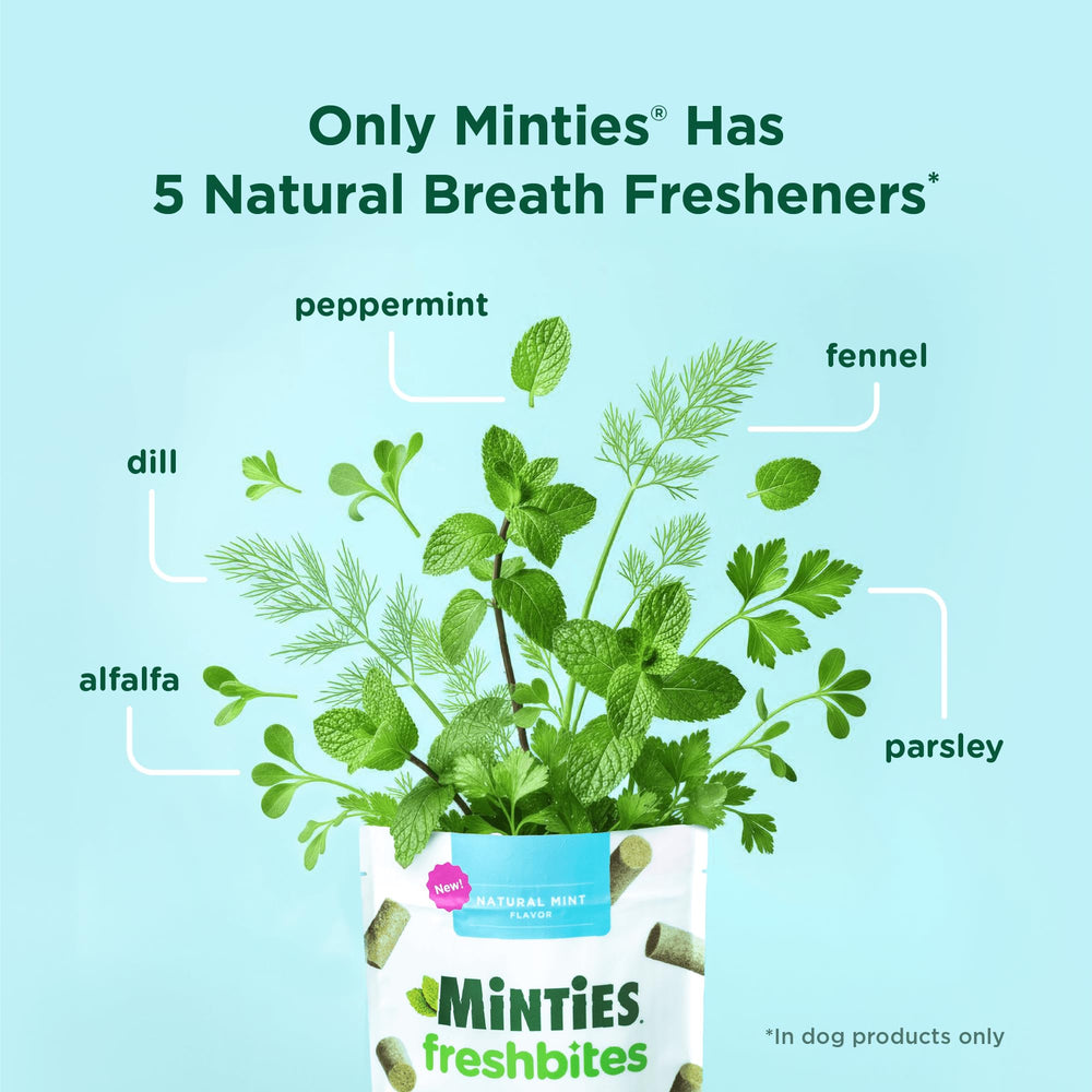 Close up of Minties FreshBites texture showing soft chew action