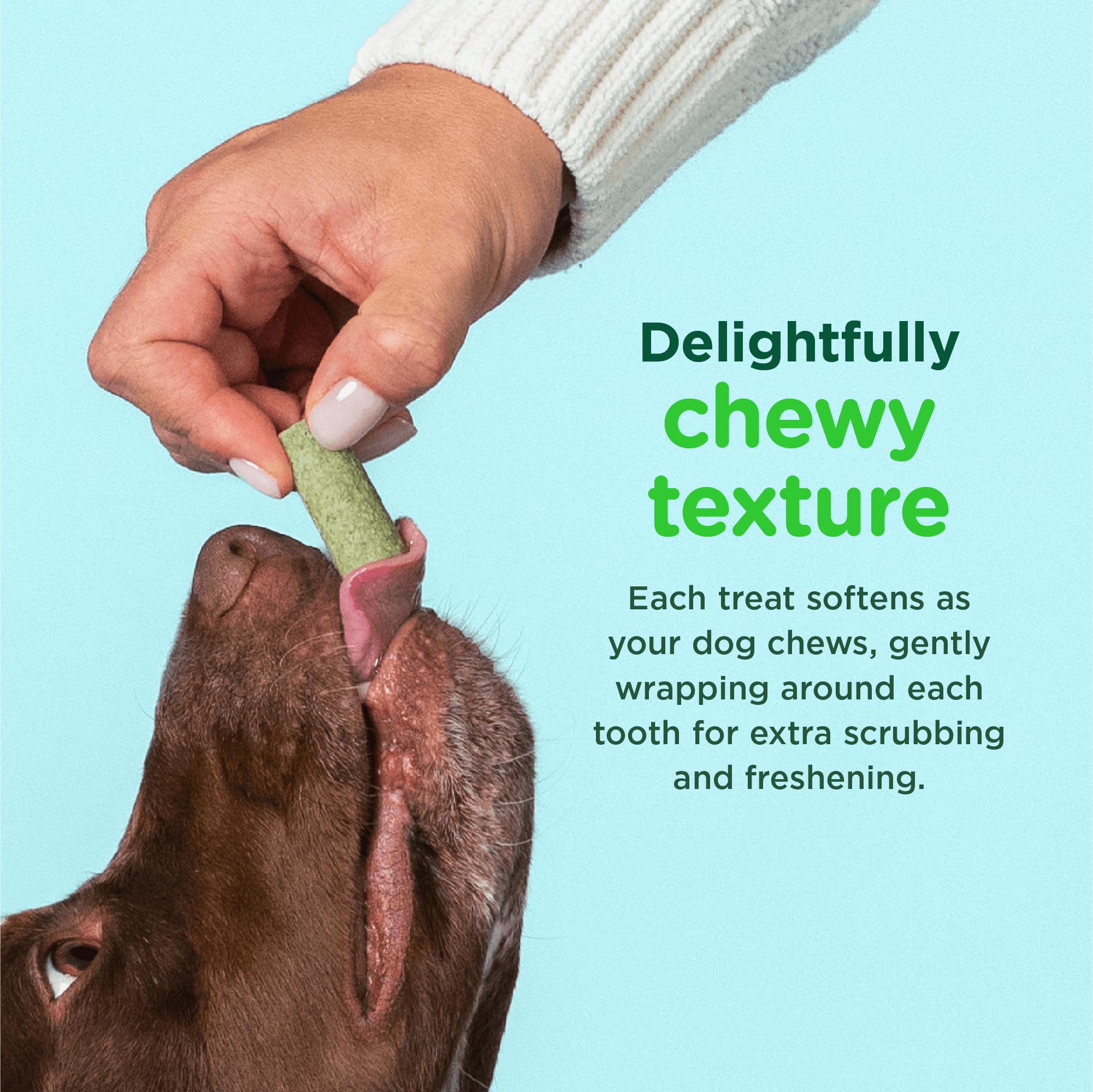 Minties FreshBites chews featuring five herbs for odor control