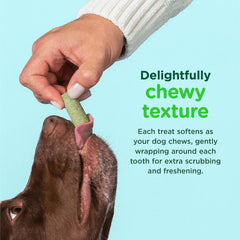 Minties FreshBites chews featuring five herbs for odor control