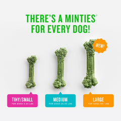Minties USA-made dental chews for small dogs support routine dental care.