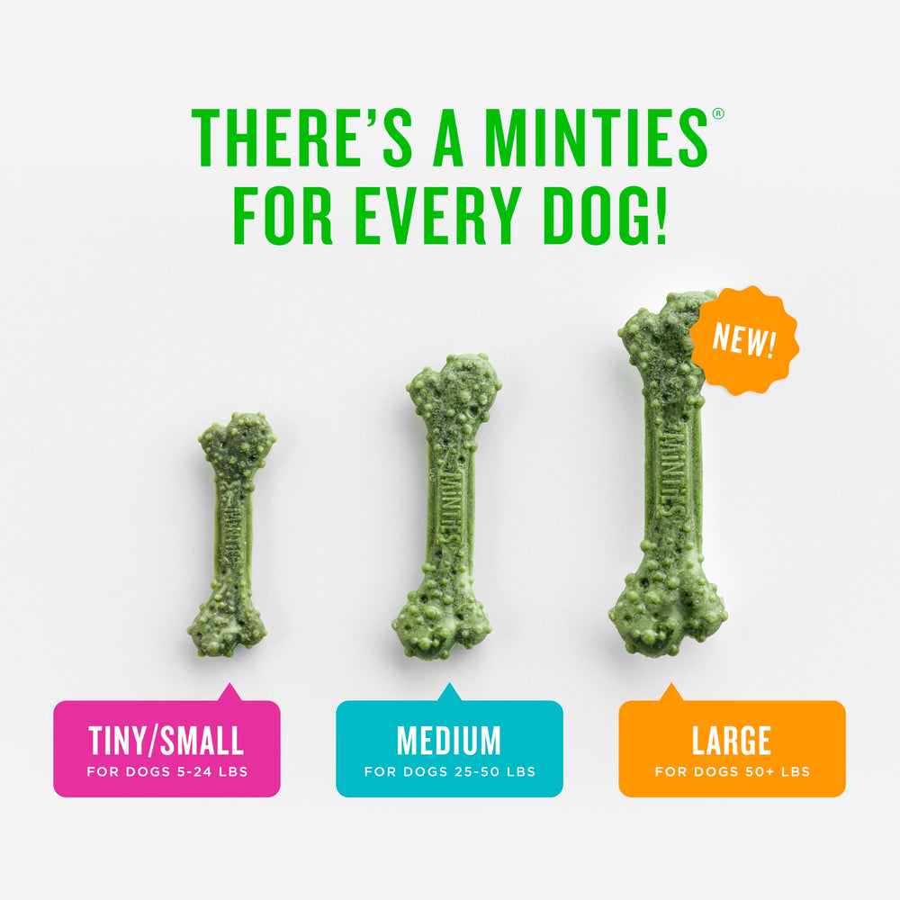 Minties USA-made dental treats – vet recommended for daily use.