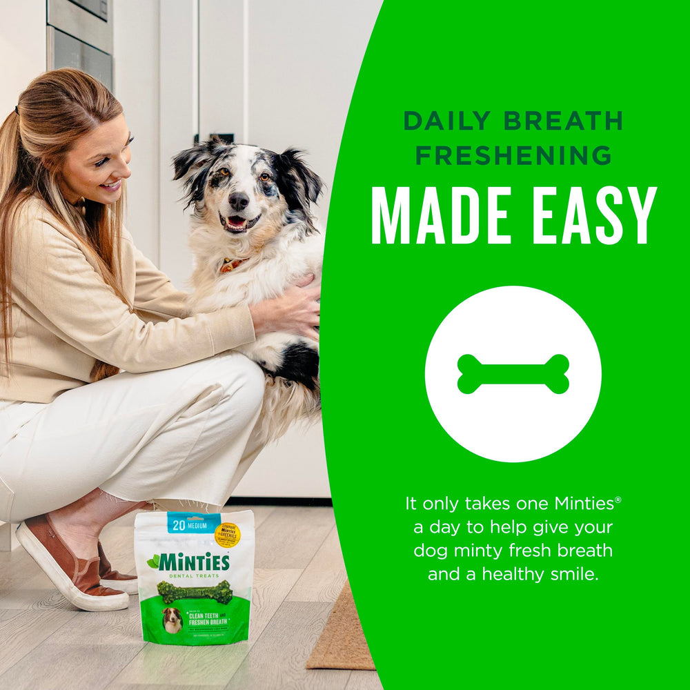 Minties vet-recommended dental chew with unique shape helps clean