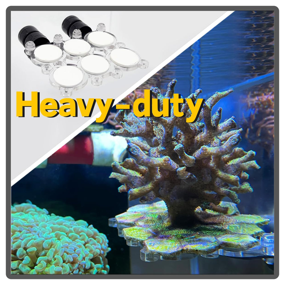 Miofis Coral Frag Rack fits glass up to 0.6 inches for stable placement.