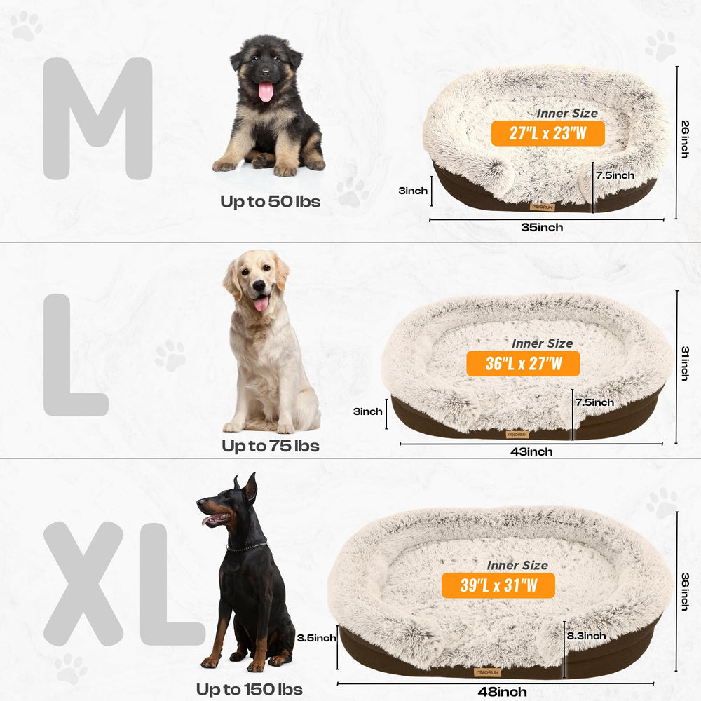 Miorun 48-inch oval bed shown in a living room for stylish pet comfort
