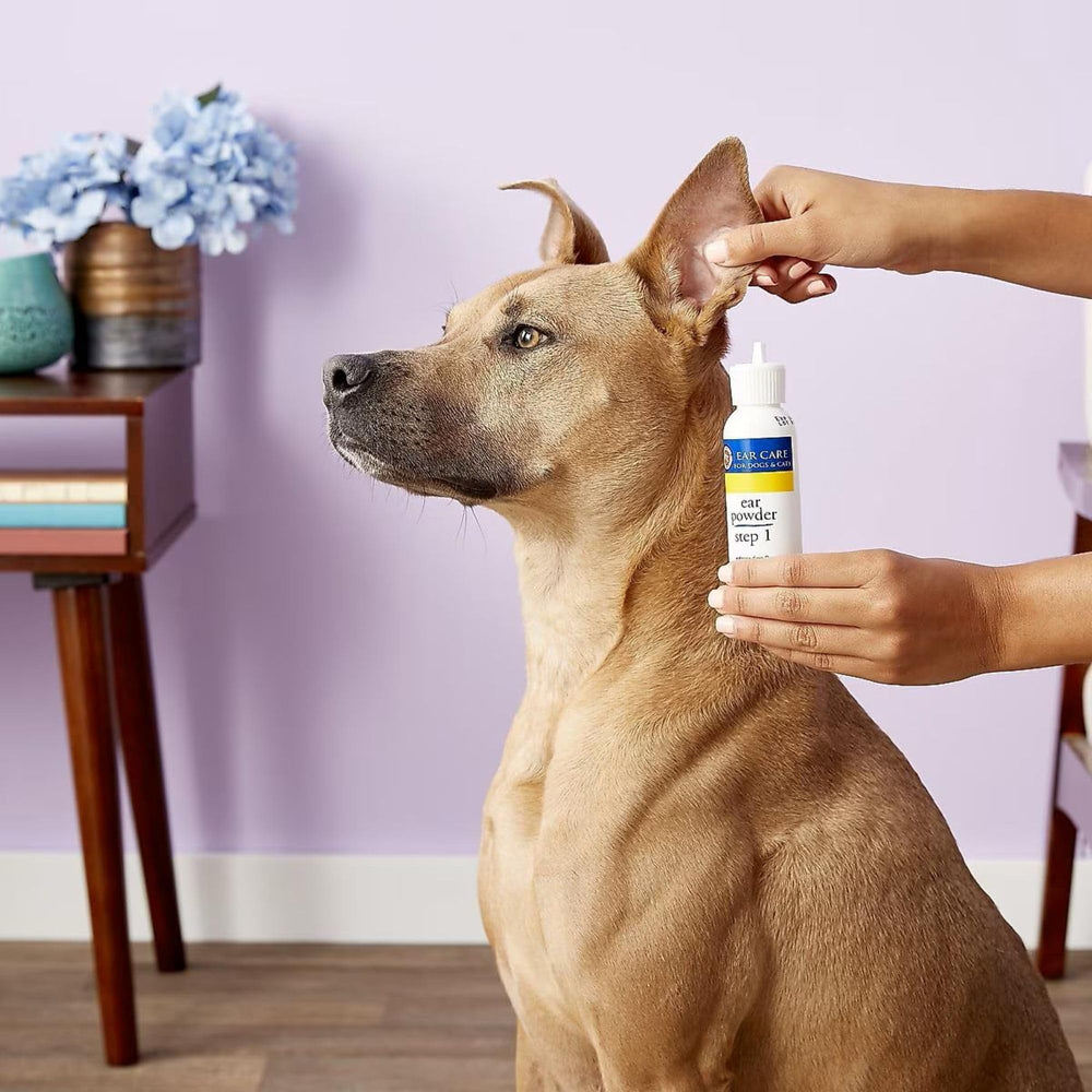 Miracle Care ear powder helps reduce odor in dogs and cats.
