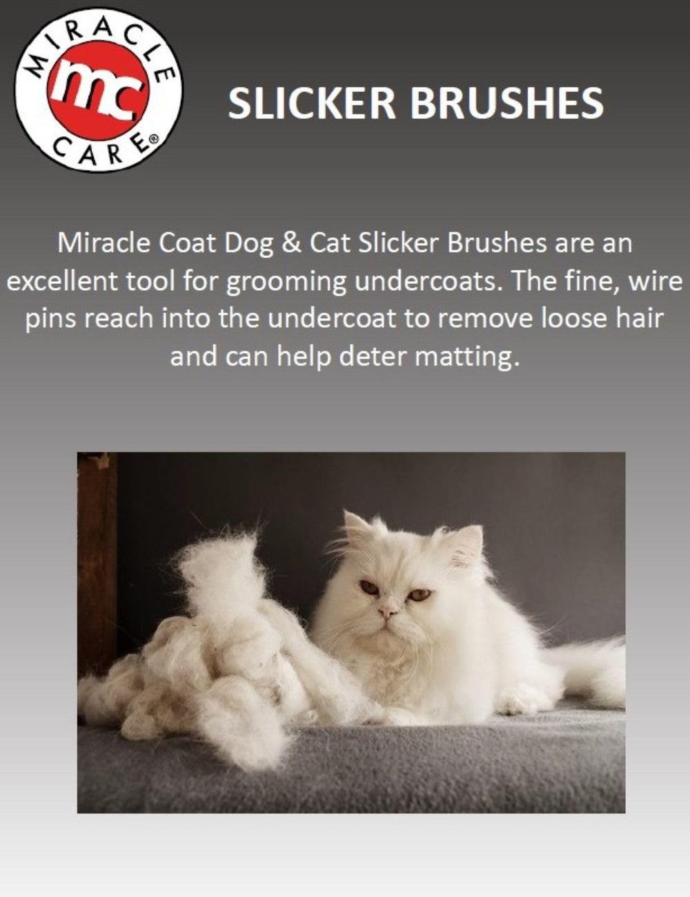 Grooming a small dog with Miracle Care slicker brush for comfort