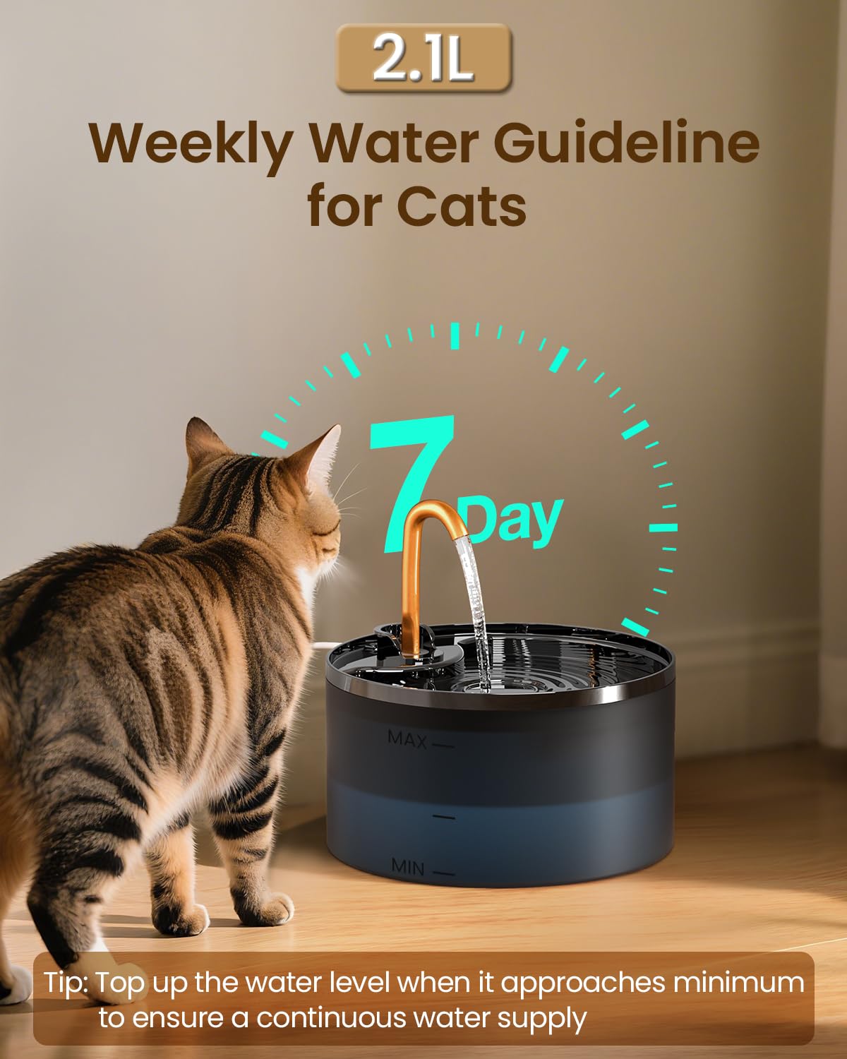 Six-pack replaceable filters keep water fresh with simple weekly maintenance.