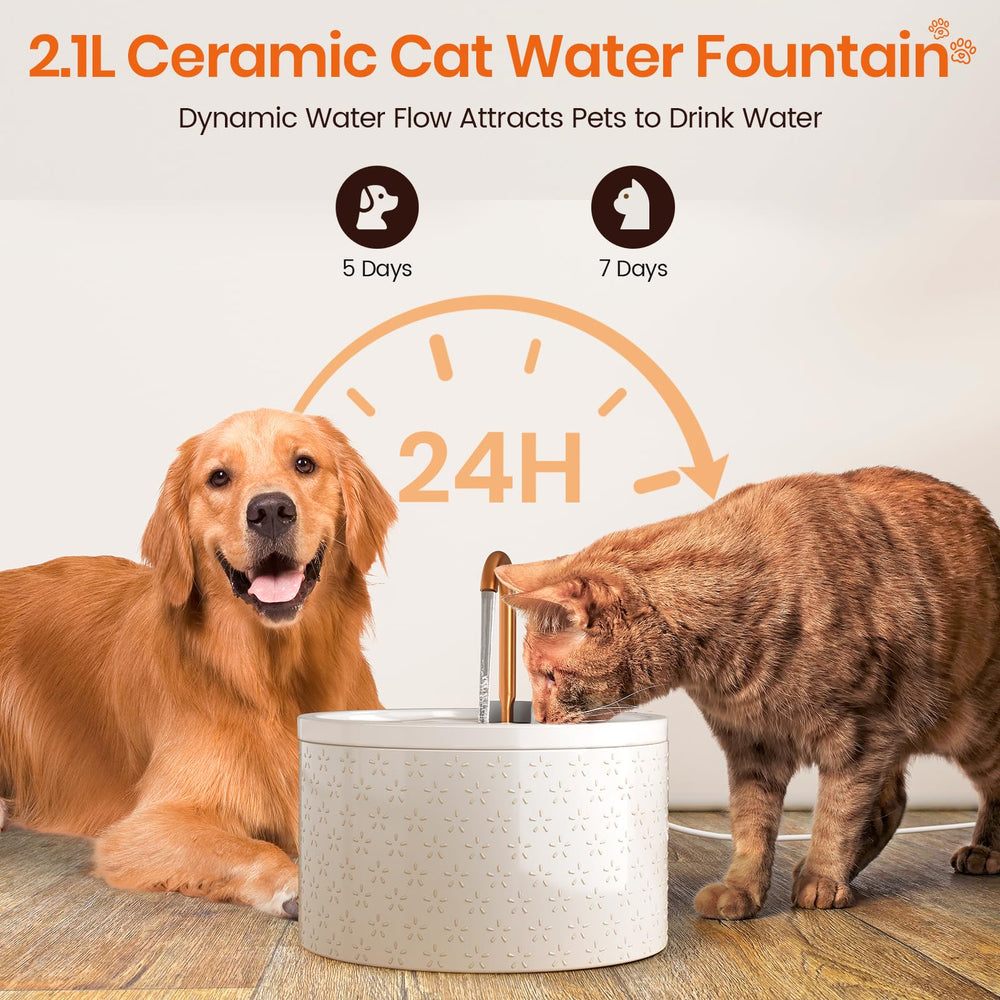MISFANS fountain offers bubbling and flowing modes to entice drinking.