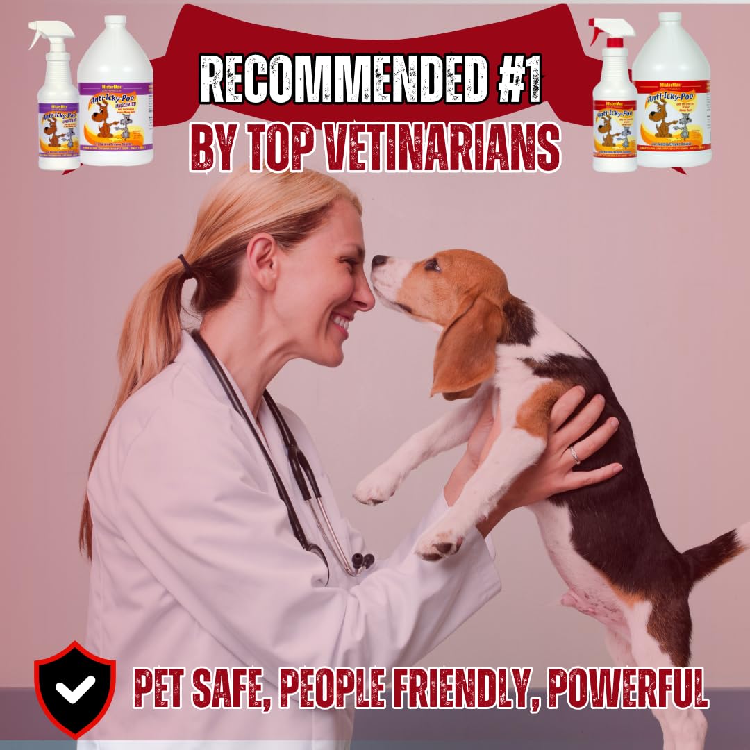 Mister Max Anti Icky Poo carpet cleaning delivers deep odor neutralization without scrubbing.
