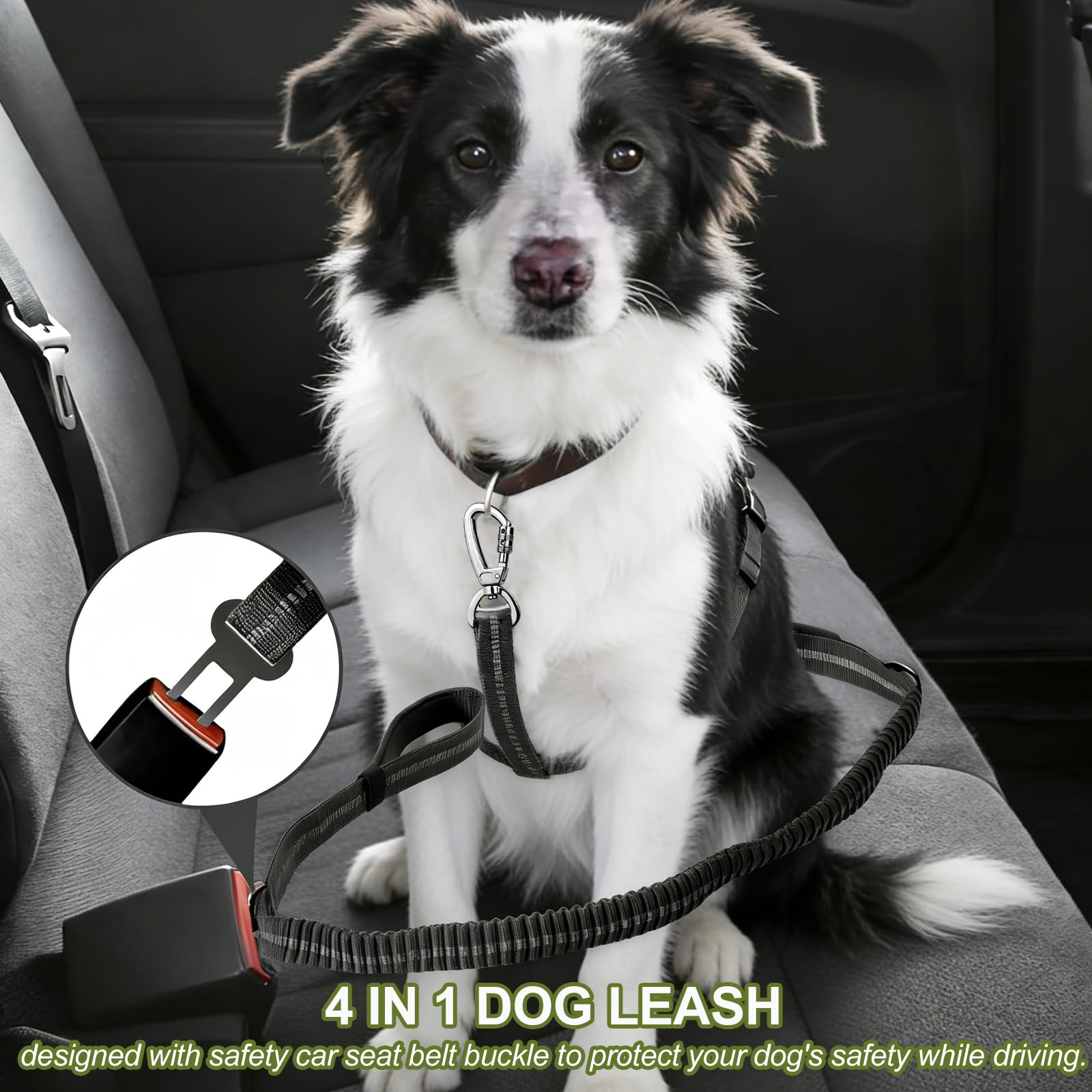 Misthis durable nylon leash built for strength