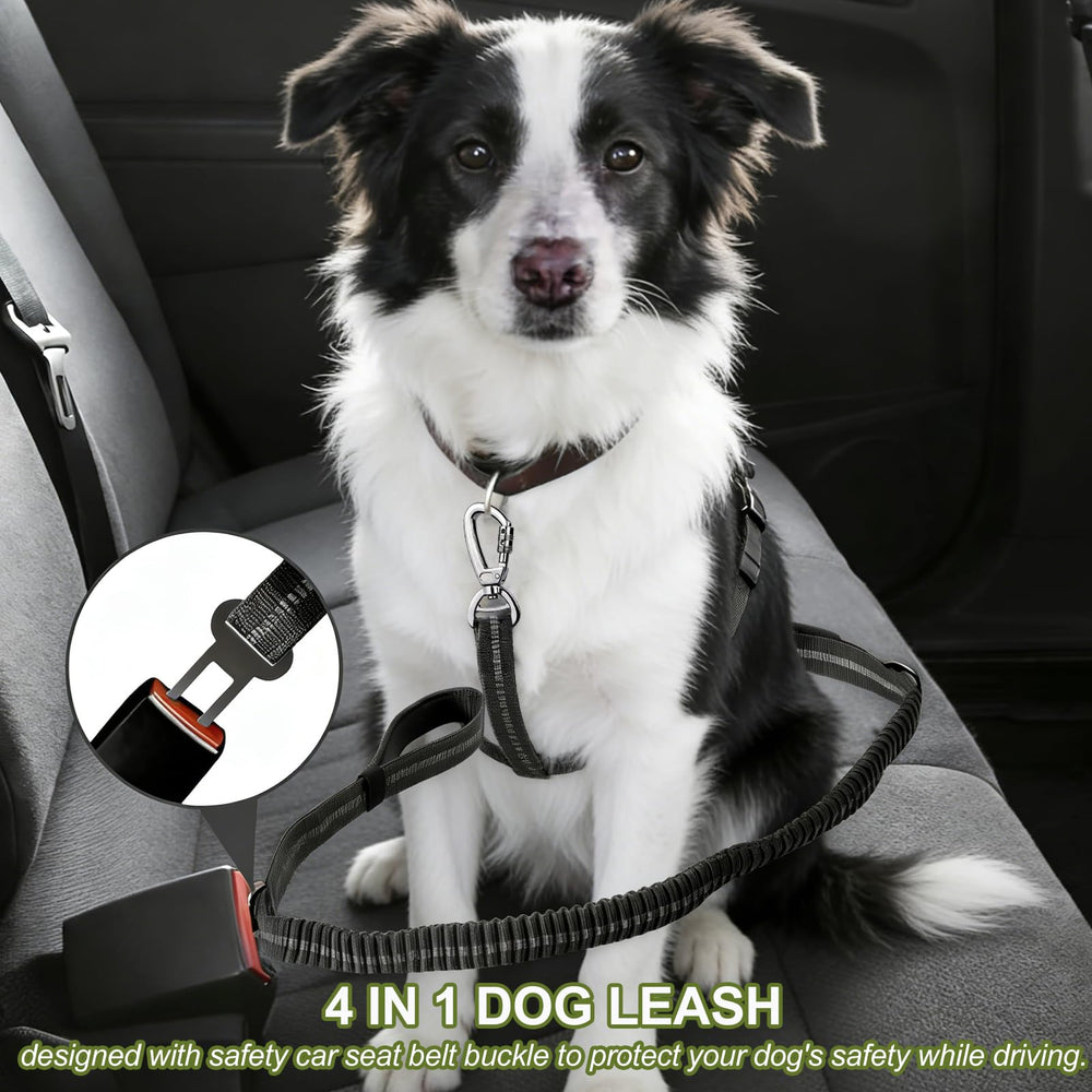 Misthis durable nylon leash built for strength