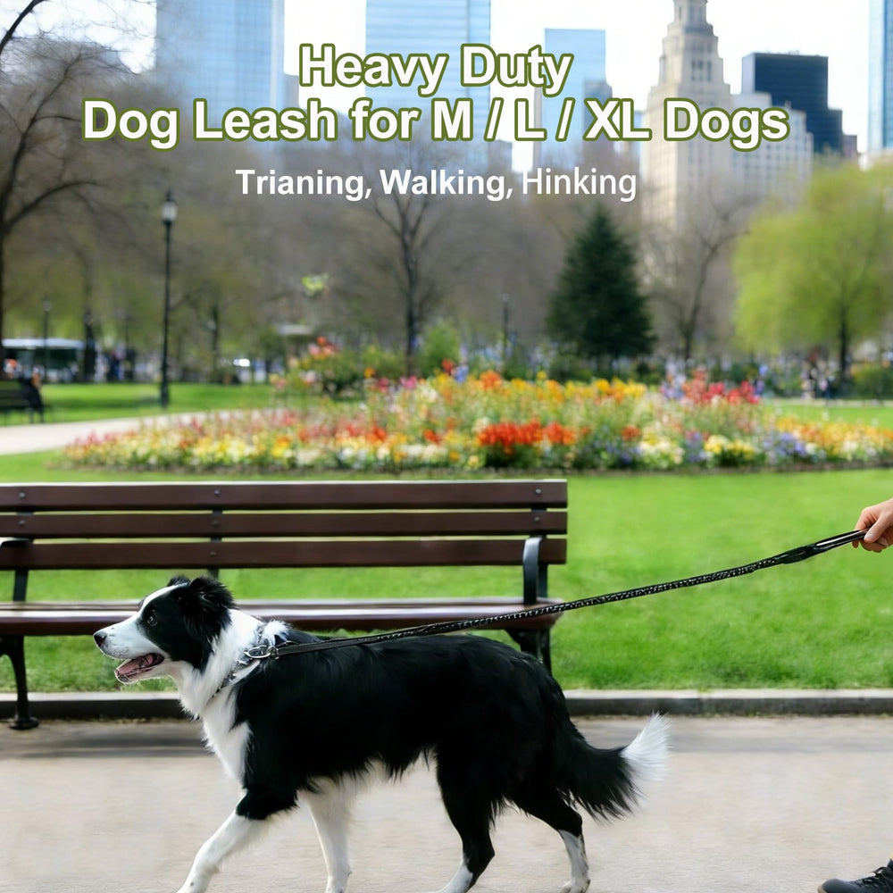 Misthis leash designed for large dogs with high pull capacity