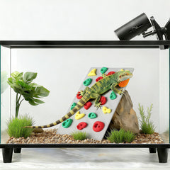 MITCHENIFY terrarium decor climbing wall adds naturalistic habitat detail.