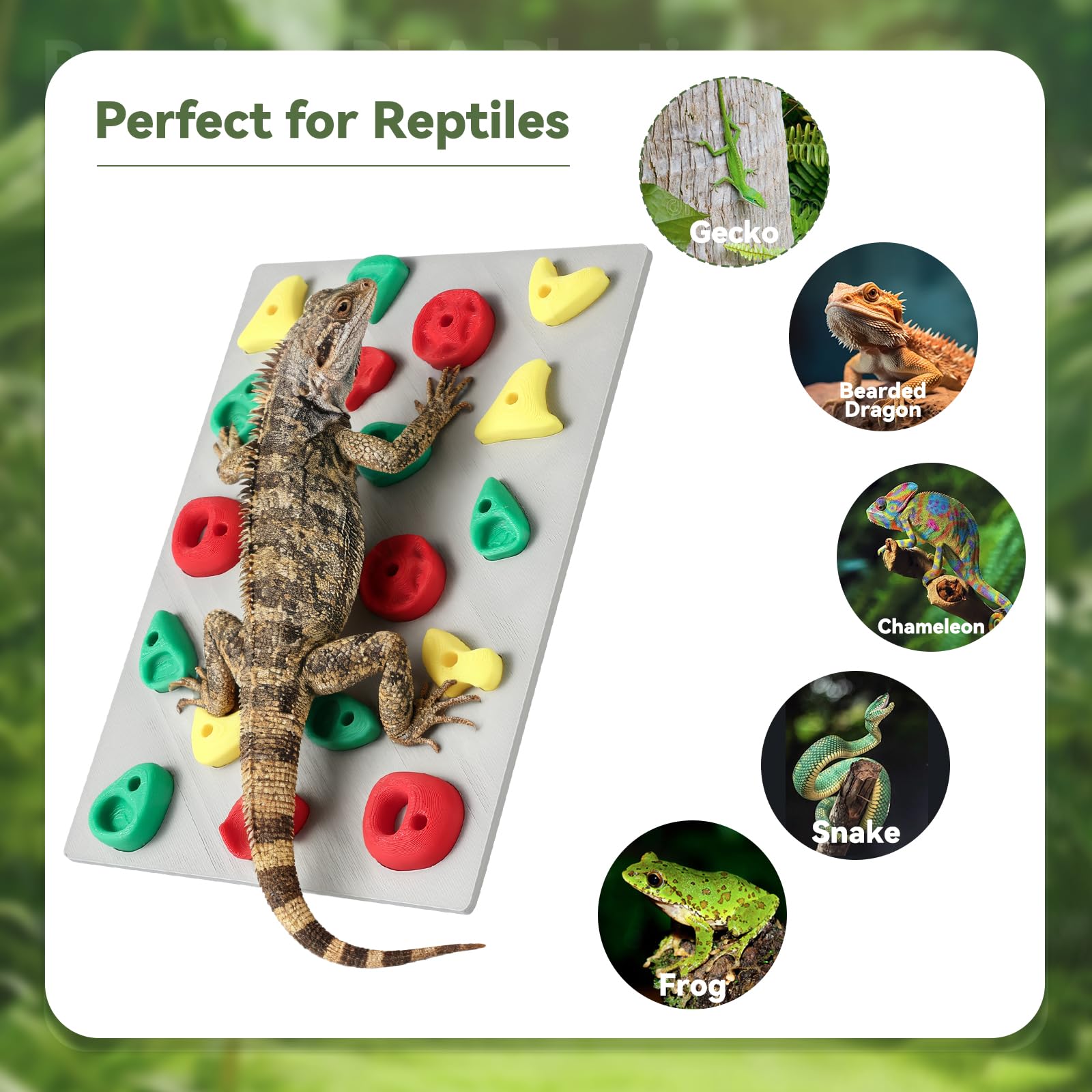 MITCHENIFY versatile habitat enrichment wall enhances enclosure behavior.