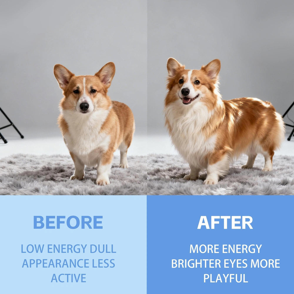 Mitrophics Doggy Supps Taurine energy-activity image emphasizes daily stamina.