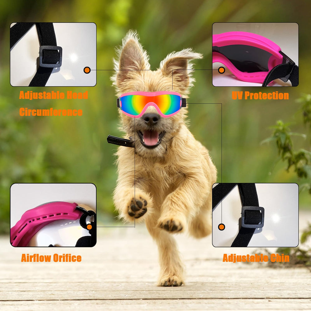 Mitubati dog goggles portable case keeps goggles safe during travel.