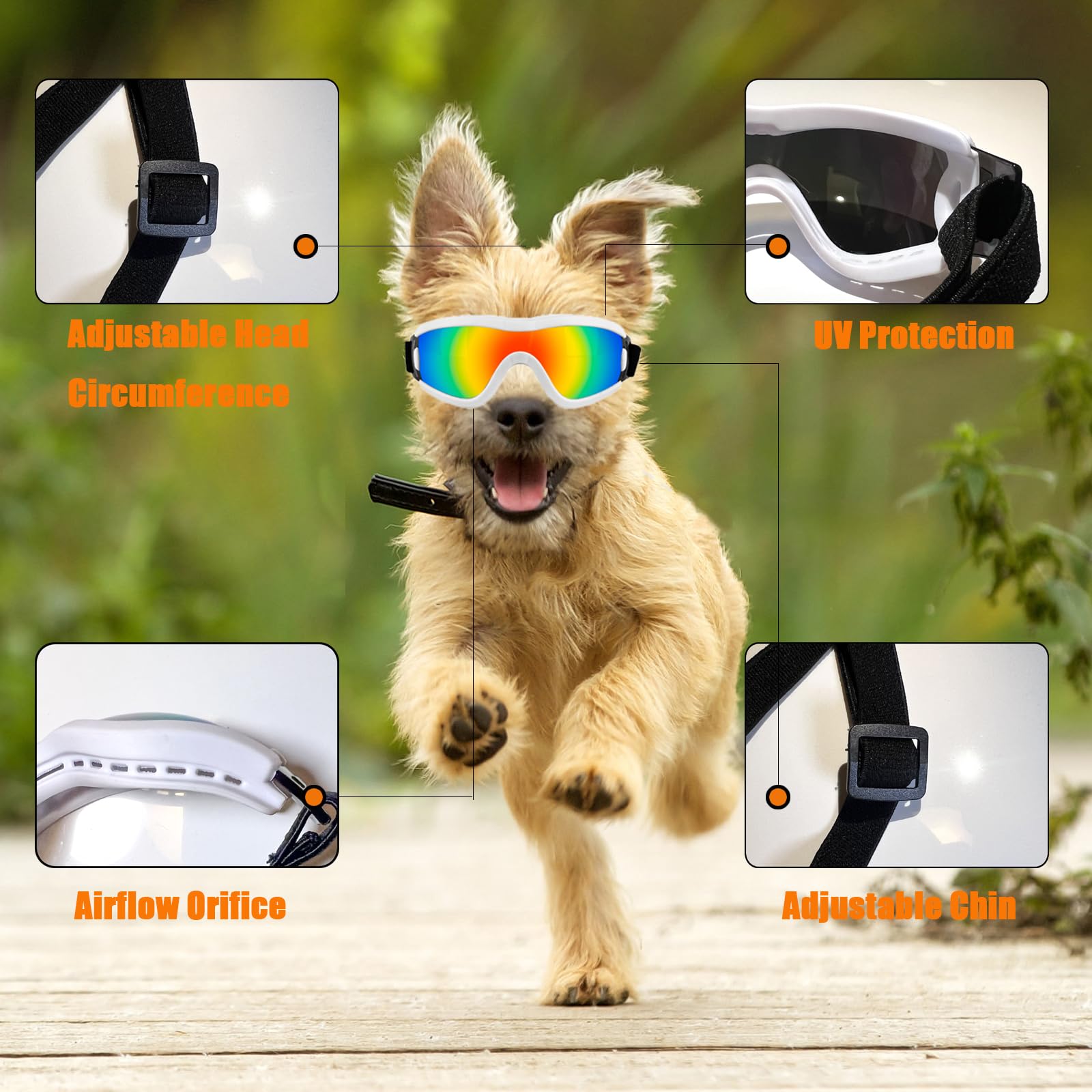 Mitubati dog goggles size range for secure outdoor wear.