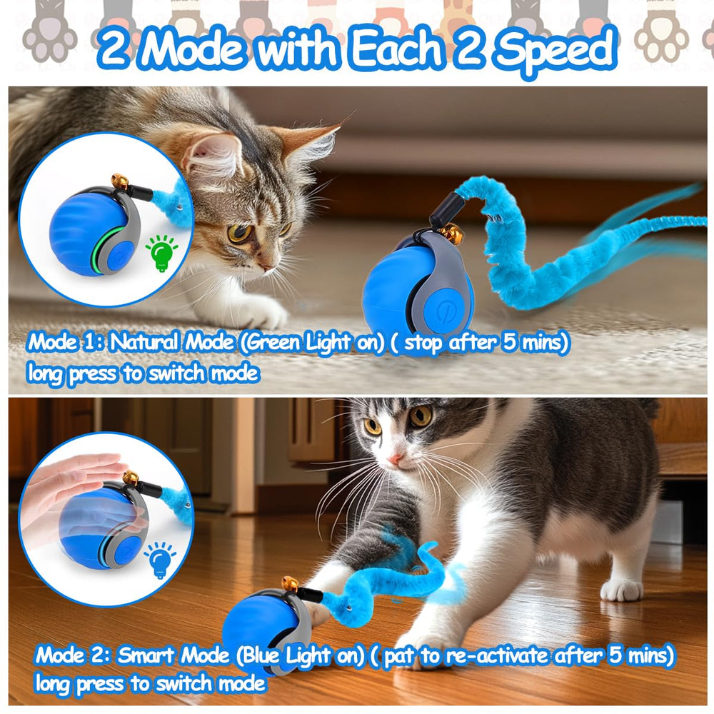 Mity Rain anti-scratch cat toy with feather tails for interaction