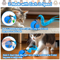 Mity Rain anti-scratch cat toy with feather tails for interaction