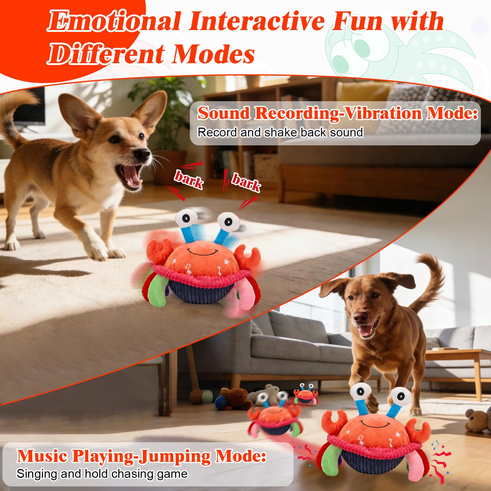 Mity rain crab face expression on toy that invites dog interaction.