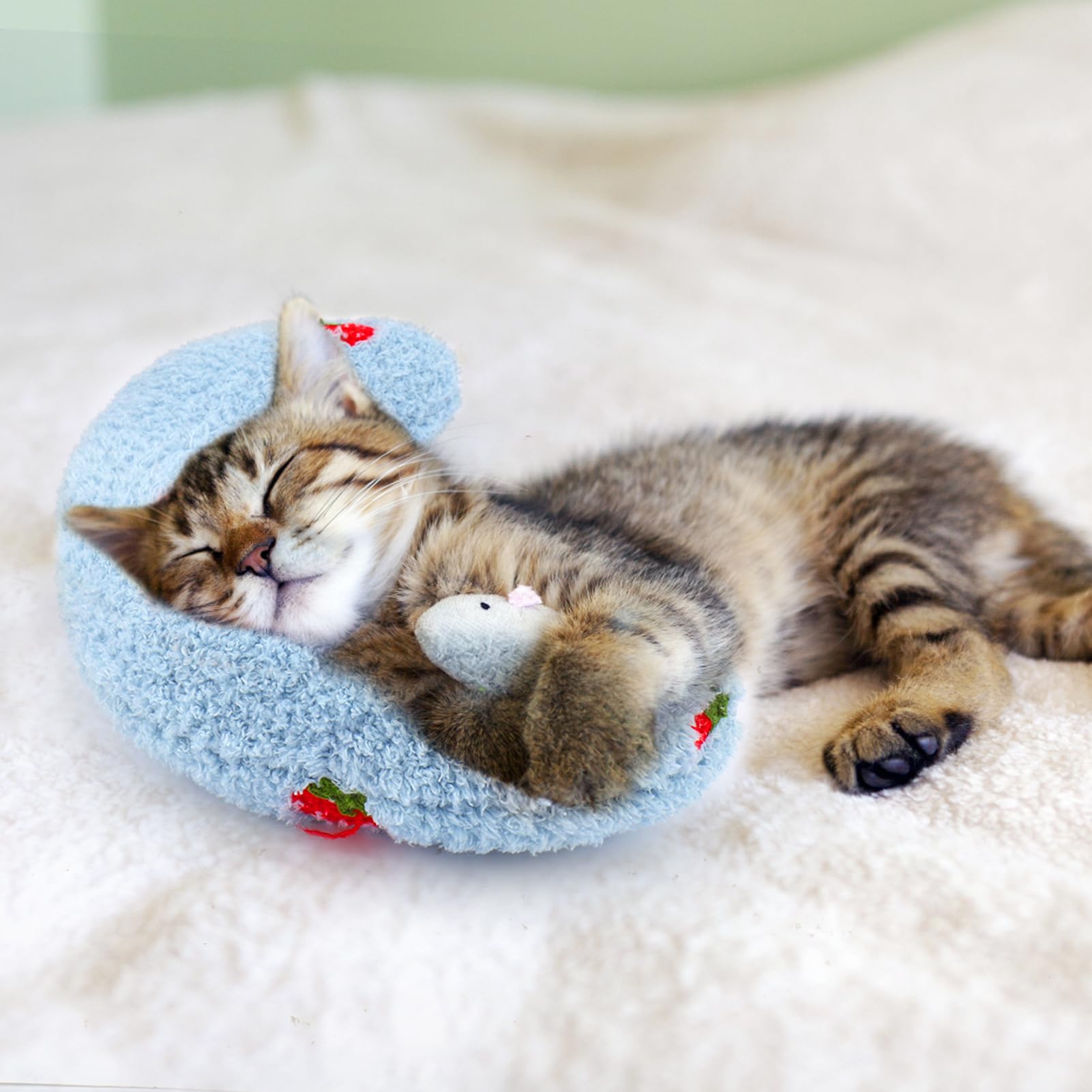 Mity Rain calming pillow may help pets feel secure during storms