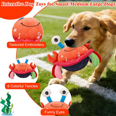 Mity rain dog toy in recording mode inviting interactive play.