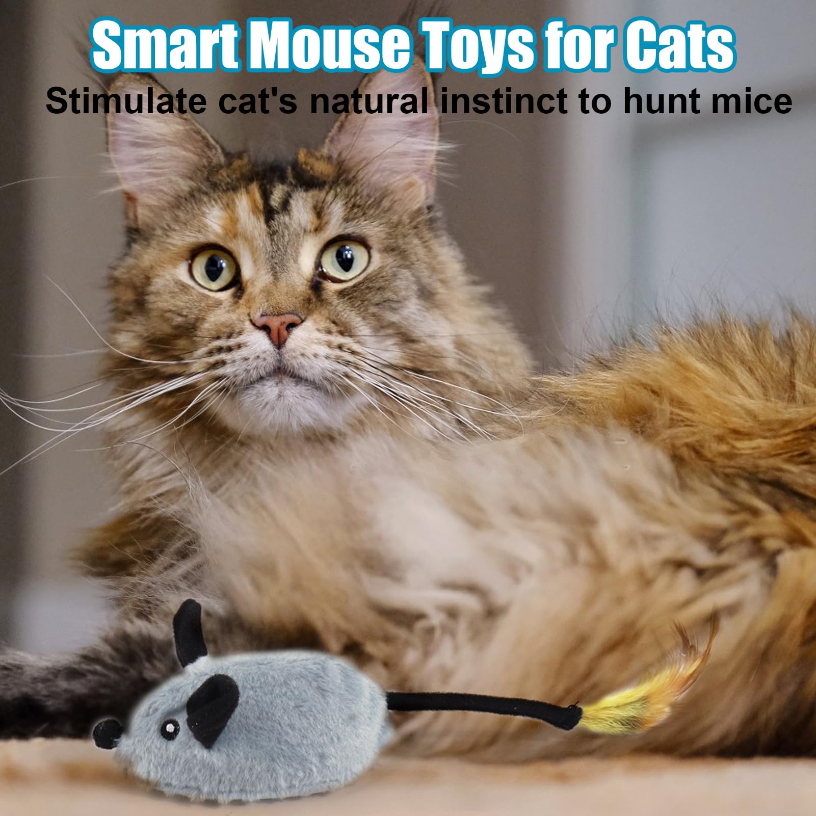 Mity rain mouse toy in packaging for display and storage
