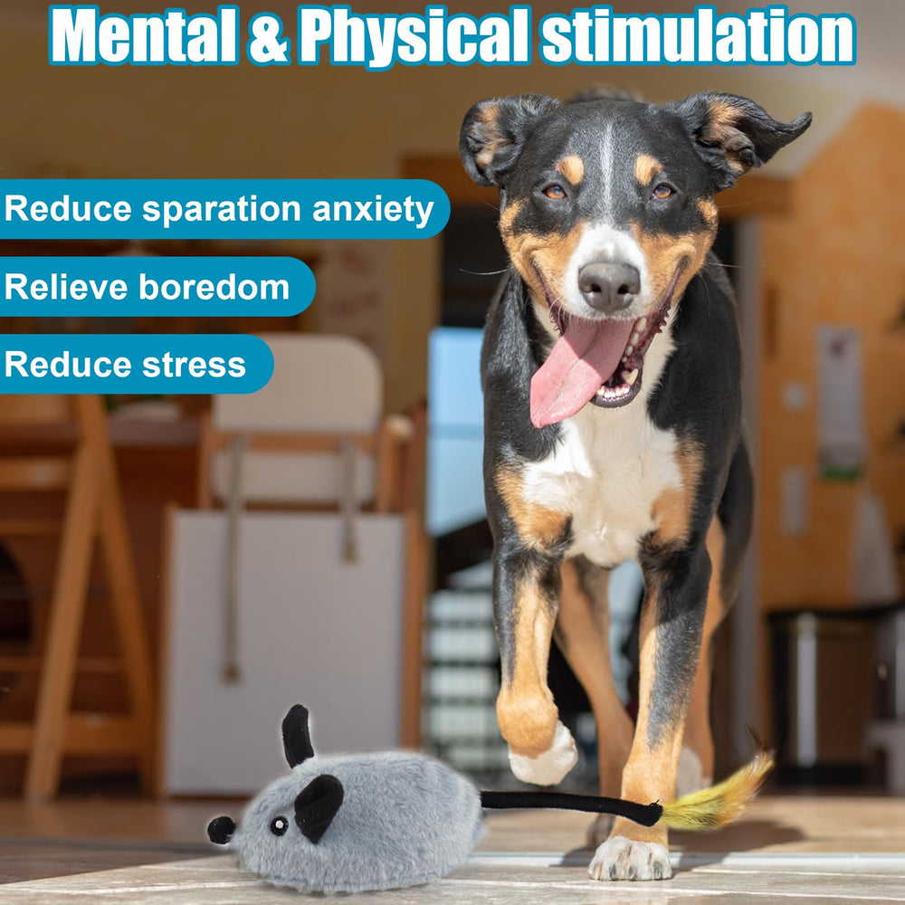 Mity rain squeaky mouse toy in motion promoting exercise and focus for pets